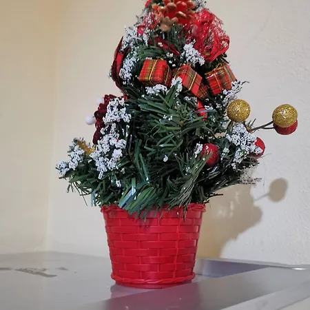 Downtown Authentic Myslym Shyri * Tirana