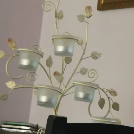 Apartment Downtown Authentic Myslym Shyri