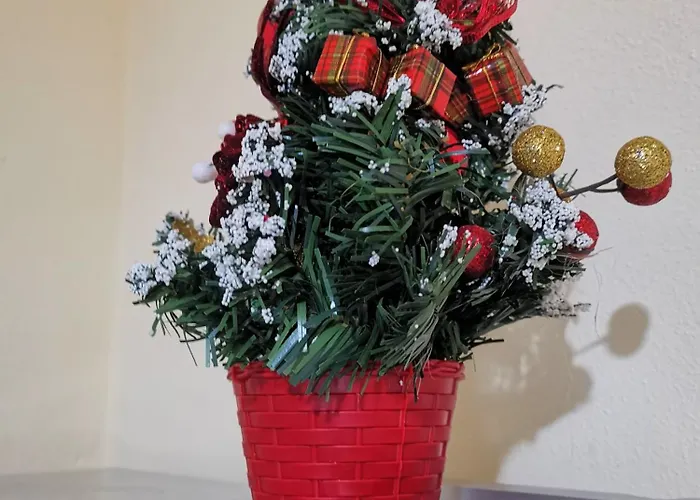 Downtown Authentic Myslym Shyri * ティラナ