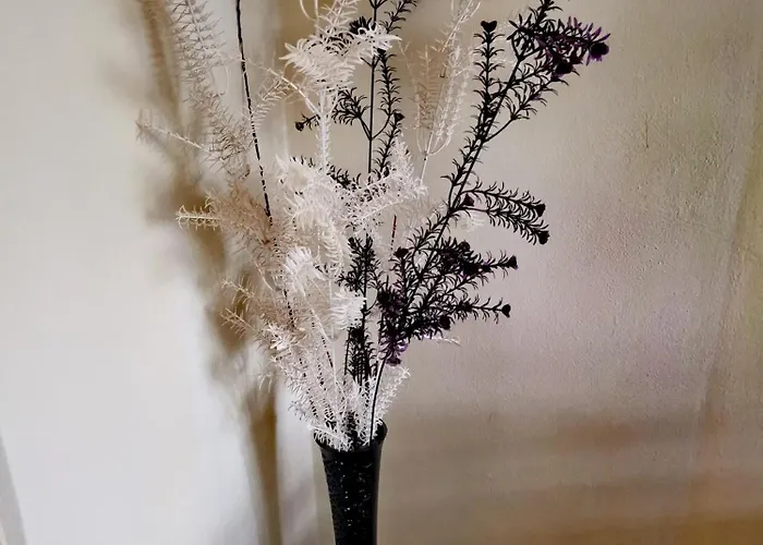 Downtown Authentic Myslym Shyri *